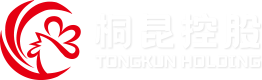 太阳集团1088vip集团股份有限公司